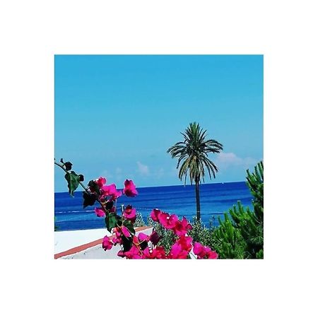 Bed and Breakfast Villino Miraglia Lingua Exterior foto