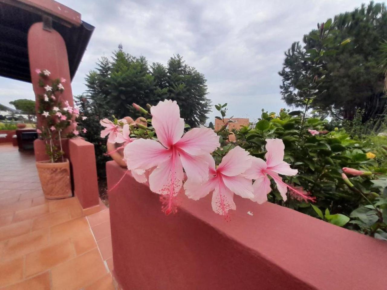 Bed and Breakfast Villino Miraglia Lingua Exterior foto